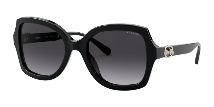 Coach Square Gradient Acetate Sunglasses