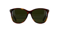 Gucci GG0024S Dark Tortoise angle