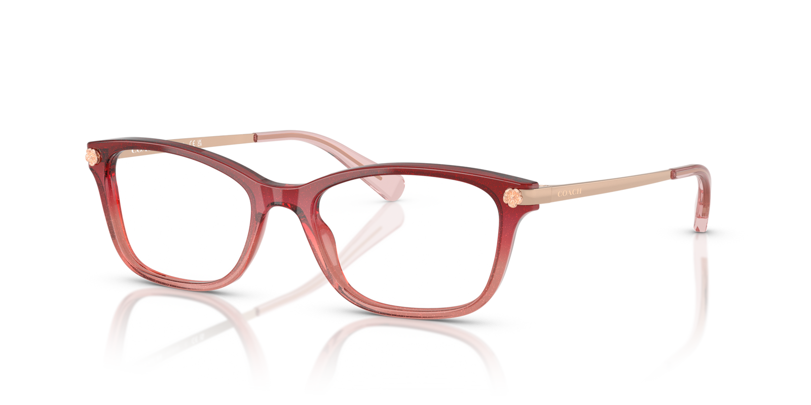 Coach Round Acetate Optical Frame