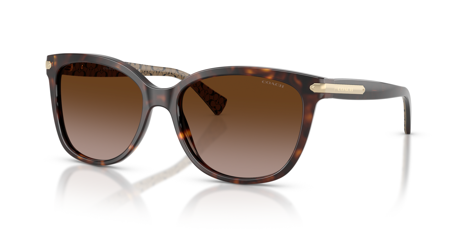 Coach Cat-Eye Acetate Sunglasses