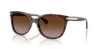Coach HC8132 cat-eye acetate sunglasses - quarter view