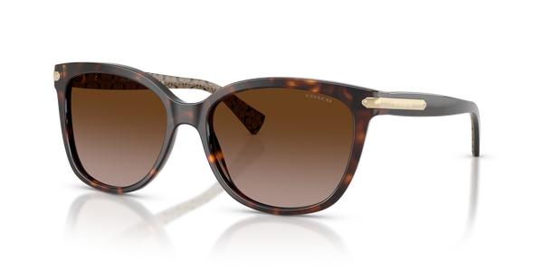 Coach HC8132 cat-eye acetate sunglasses - quarter view