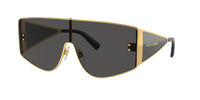 Dolce & Gabbana DG2305 Logo Shield Metal Sunglasses - View 1