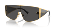 Dolce & Gabbana DG2305 Logo Shield Metal Sunglasses - Front View