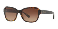 Coach HC8232 Dark Tortoise - Front